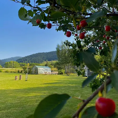 Lejlighed Przystan W Gorcach *