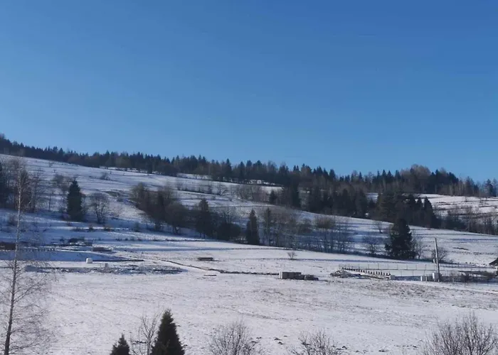 Przystan W Gorcach Konina