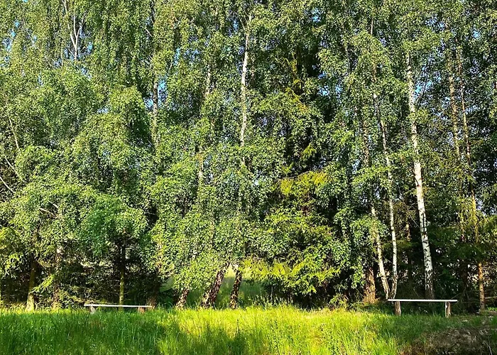 Apartmán Przystan W Gorcach Konina